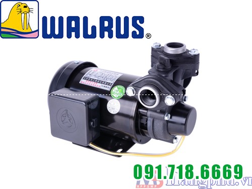 Walrus TP325 1/2HP