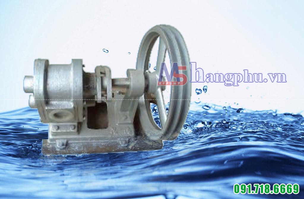 Bully trợ bơm đầu Inox phốt Amiăng A06CS1-012 AM