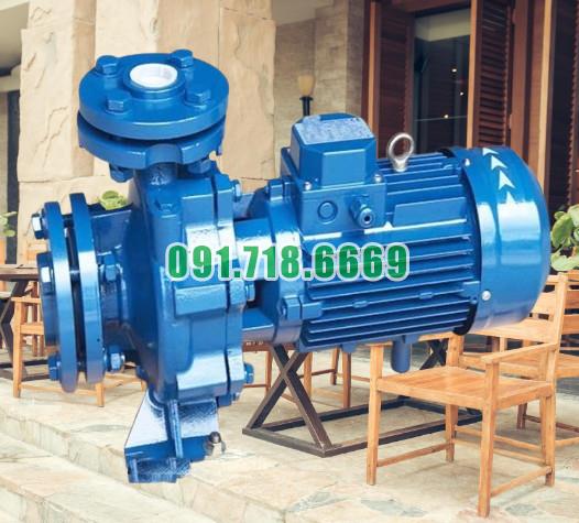 Giá bán bơm li tâm trục ngang đường thoát đầu vào ra Dn80 model CM65-250B