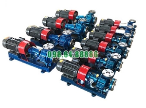 Máy bơm dầu tải nhiệt RY100-65-200A cột áp 44 m, lưu lượng 94 m3/h, công suất 22 kW